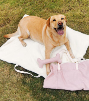 Portable Dog Mat