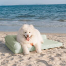 Large Cooling Breathable Non-Slip Orthopedic Dog Bed