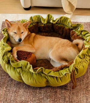 Nature-Inspired Adjustable Calming Dog Bed - Plush Nest
