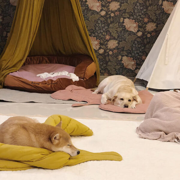 Leaf Shape Dog Blanket - Image 15