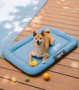 Outdoor Waterproof ＆ Chew-proof Memory Foam Orthopedic Dog Mat - Trek Lounge