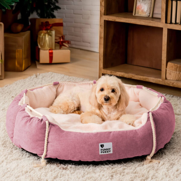 Playful Pull Rope Pet Bed Adjustable Chew-Resistant Dog & Cat Bed - Image 11