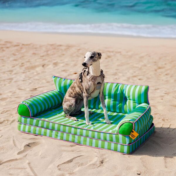 Stripe Waterproof Foldable Large Dog Sofa Bed - Sunny Siesta - Image 18