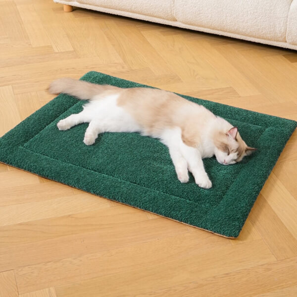 Warm Comfortable Non-slip Plush Pet Mat - Image 10