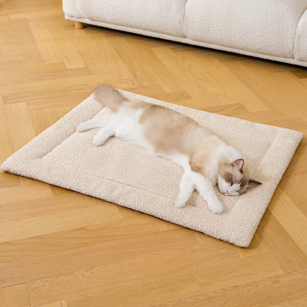 Warm Comfortable Non-slip Plush Pet Mat - Image 4