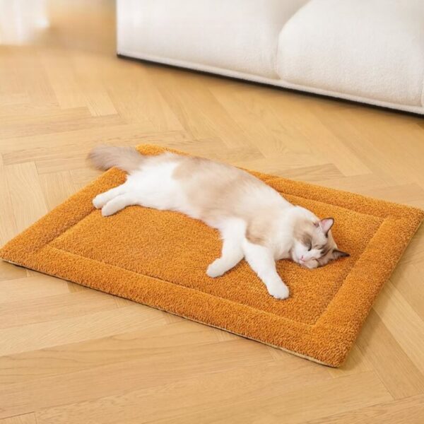 Warm Comfortable Non-slip Plush Pet Mat - Image 3