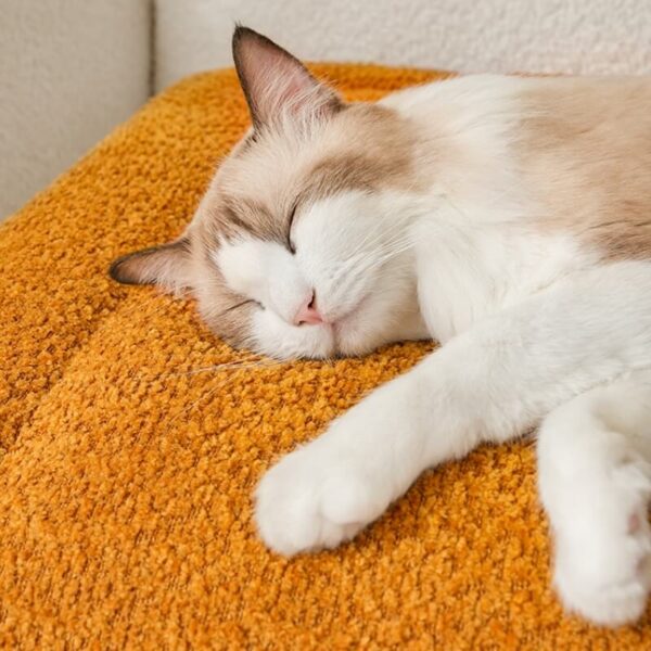 Warm Comfortable Non-slip Plush Pet Mat - Image 7