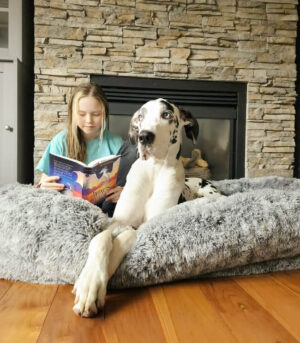 Luxury Super Large Sleep Deeper Oval Bed Human Dog Bed