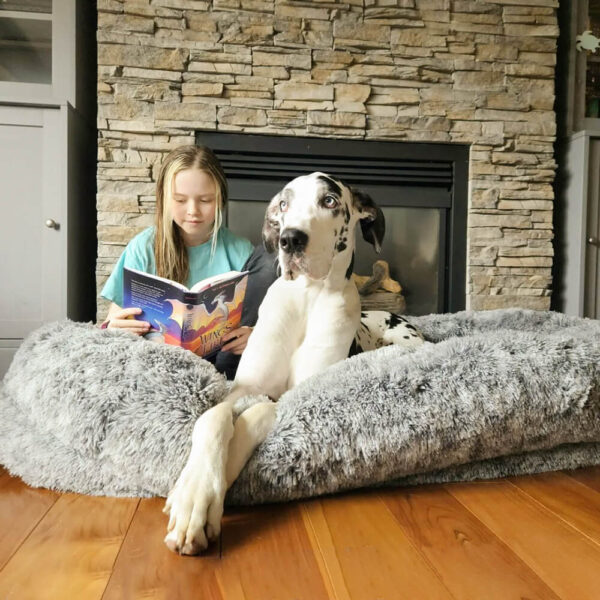 Donut Orthopedic Dog Bed - Image 14