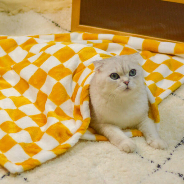 Stylish Chequered Flannel Pet Blanket Dog & Cat Blanket - Image 11