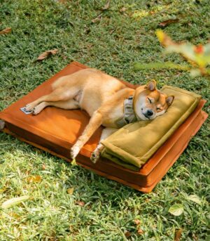 Anti-Anxiety with Sponge Support Deep Sleeping Dog Bed