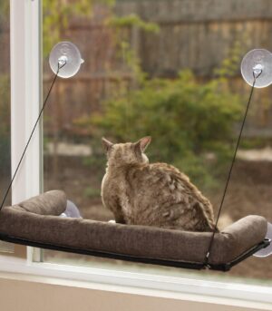 Kitty Sill EZ Mount w-Bolster Rim Chocolate 55 x 30cm
