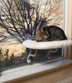 Kitty Sill Universal Cat Mount Fleece