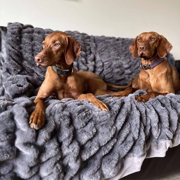 Super Soft Faux Fur & Velvet Luxury Pet Throw Blanket Human Blanket - Image 11